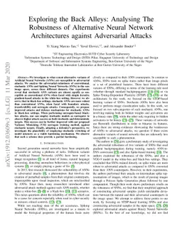 Exploring the Back Alleys: Analysing The Robustness of Alternative
  Neural Network Architectures against Adversarial Attacks