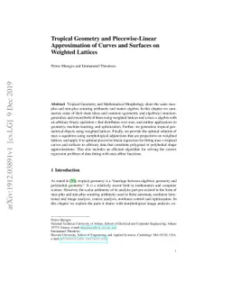 Tropical Geometry and Piecewise-Linear Approximation of Curves and
  Surfaces on Weighted Lattices