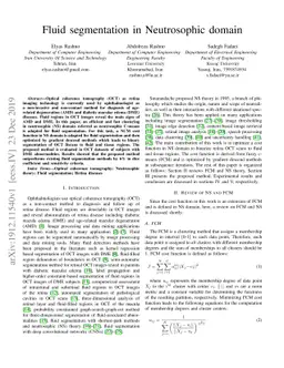 Fluid segmentation in Neutrosophic domain