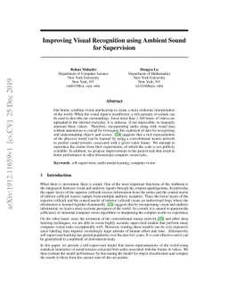 Improving Visual Recognition using Ambient Sound for Supervision