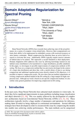 Domain Adaptation Regularization for Spectral Pruning