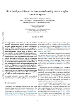 Structural plasticity on an accelerated analog neuromorphic hardware
  system