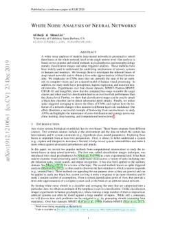 White Noise Analysis of Neural Networks