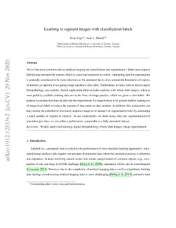 Learning to segment images with classification labels