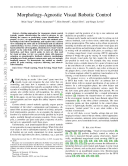 Morphology-Agnostic Visual Robotic Control