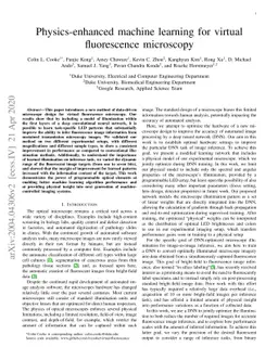 Physics-enhanced machine learning for virtual fluorescence microscopy