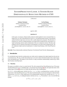 TensorProjection Layer: A Tensor-Based Dimensionality Reduction Method
  in CNN