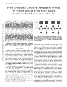 Multi-Granularity Canonical Appearance Pooling for Remote Sensing Scene
  Classification