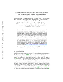Weakly supervised multiple instance learning histopathological tumor
  segmentation