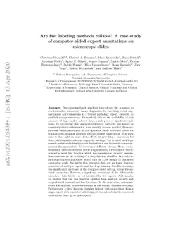 Are fast labeling methods reliable? A case study of computer-aided
  expert annotations on microscopy slides