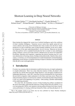 Shortcut Learning in Deep Neural Networks