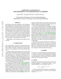 Complexity Analysis of an Edge Preserving CNN SAR Despeckling Algorithm