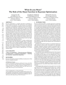 What do you Mean? The Role of the Mean Function in Bayesian Optimisation