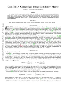 CatSIM: A Categorical Image Similarity Metric