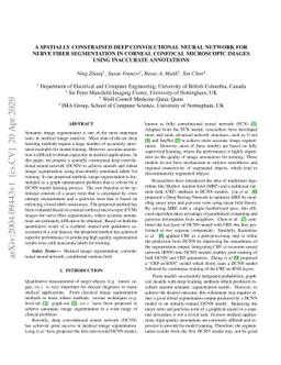 A Spatially Constrained Deep Convolutional Neural Network for Nerve
  Fiber Segmentation in Corneal Confocal Microscopic Images using Inaccurate
  Annotations