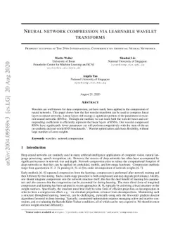 Neural network compression via learnable wavelet transforms