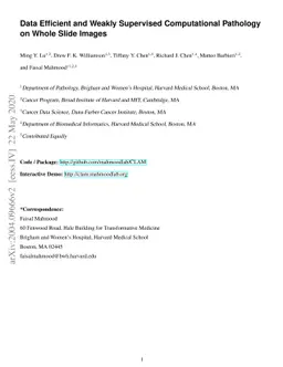 Data Efficient and Weakly Supervised Computational Pathology on Whole
  Slide Images