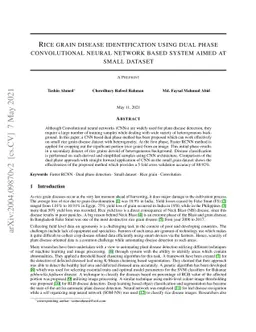 Rice grain disease identification using dual phase convolutional neural
  network based system aimed at small dataset