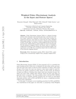Weighted Fisher Discriminant Analysis in the Input and Feature Spaces