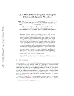 DSA: More Efficient Budgeted Pruning via Differentiable Sparsity
  Allocation