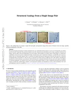 Structural-analogy from a Single Image Pair