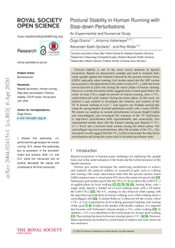 Postural Stability in Human Running with Step-down Perturbations: An
  Experimental and Numerical Study