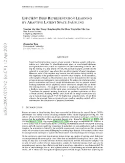 Efficient Deep Representation Learning by Adaptive Latent Space Sampling