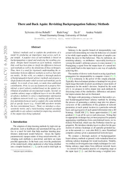 There and Back Again: Revisiting Backpropagation Saliency Methods