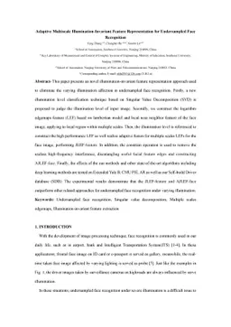 Adaptive Multiscale Illumination-Invariant Feature Representation for
  Undersampled Face Recognition