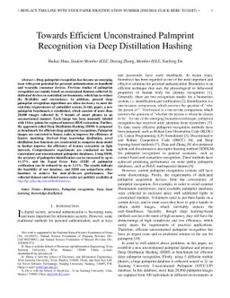 Towards Efficient Unconstrained Palmprint Recognition via Deep
  Distillation Hashing