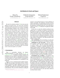 Attribution in Scale and Space