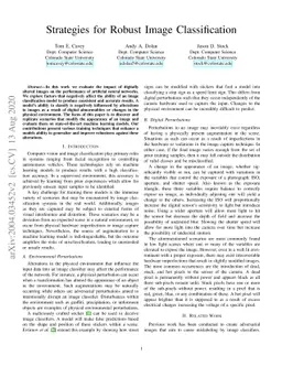 Strategies for Robust Image Classification