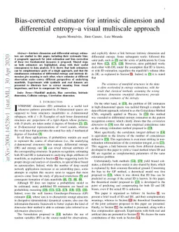 Bias-corrected estimator for intrinsic dimension and differential
  entropy--a visual multiscale approach