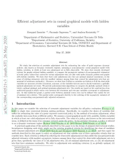 Efficient adjustment sets in causal graphical models with hidden
  variables