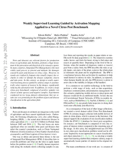 Weakly Supervised Learning Guided by Activation Mapping Applied to a
  Novel Citrus Pest Benchmark
