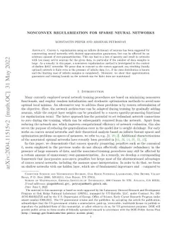 Nonconvex regularization for sparse neural networks