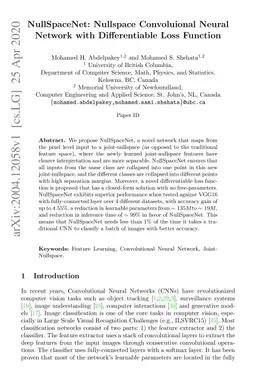 NullSpaceNet: Nullspace Convoluional Neural Network with Differentiable
  Loss Function
