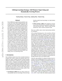 Lifelong Learning Process: Self-Memory Supervising and Dynamically
  Growing Networks