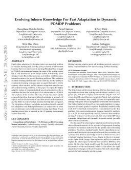 Evolving Inborn Knowledge For Fast Adaptation in Dynamic POMDP Problems