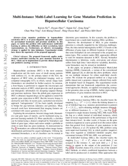 Multi-Instance Multi-Label Learning for Gene Mutation Prediction in
  Hepatocellular Carcinoma