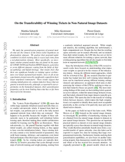 On the Transferability of Winning Tickets in Non-Natural Image Datasets