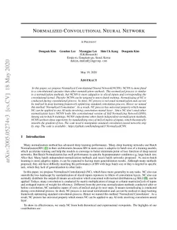 Normalized Convolutional Neural Network