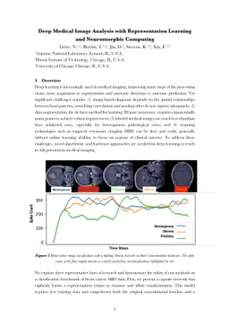 Deep Medical Image Analysis with Representation Learning and
  Neuromorphic Computing