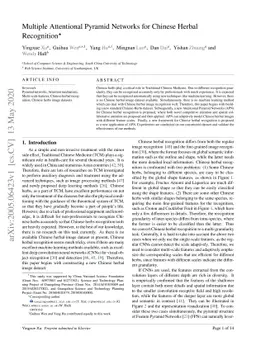 Multiple Attentional Pyramid Networks for Chinese Herbal Recognition