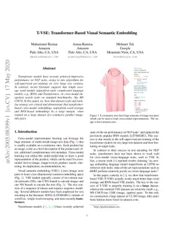 T-VSE: Transformer-Based Visual Semantic Embedding