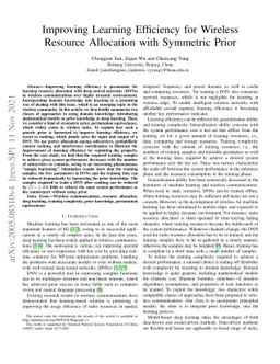Improving Learning Efficiency for Wireless Resource Allocation with
  Symmetric Prior