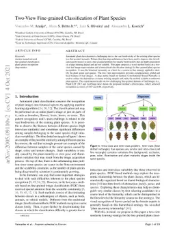 Two-View Fine-grained Classification of Plant Species