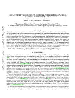 How Much Off-The-Shelf Knowledge Is Transferable From Natural Images To
  Pathology Images?