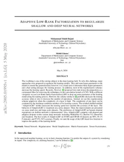 Adaptive Low-Rank Factorization to regularize shallow and deep neural
  networks