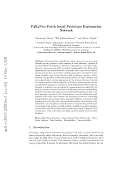 P2ExNet: Patch-based Prototype Explanation Network